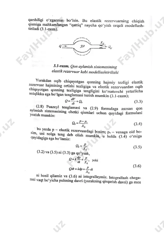 yurak faoliyatining fizikaviy asoslari. gemodinamika - Page 2