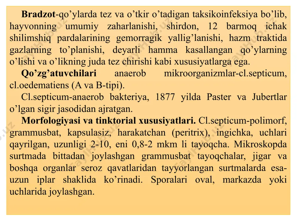 oksin-gialuronidaza fermenti. delta-toksin-kislorodlobil gemolizin, qo’y, ot va odam eritrositlarini lizisga uchratadi. antigen tuzilishi. sl.septicum tarkibida o va h-antigenlar ajratilgan. h-agglyutinasiya yordamida sl.septicum turi ichida 6 ta serologik guruh topilgan. sl.oedematiens 1883 yilda novi o’lgan dengiz cho’chqasi jasadidan ajratgan. 1915 yilda veyenberg va sigenlar gazli gangrenaning qo’zg’atuvch isi sifatida uning etiologik rolini aniqlashgan. morfologiyasi va tinktorial xususiyatlari. yirik, polimorf, uchlari qayrilgan, bittadan ba’zan kalta zanjircha shaklida joylashadi. uzunligi 5-10 mkm, eni 0,8-1,5 mkm. grammusbat, kapsula hosil qilmaydi. sporalari oval, markazda yoki uchlarida joylashadi, odatda kulturalarda 24 soatdan keyin paydo bo’ladi. harakatchan (peritrix), lekin kislorod ta’sirida tezda harakati yo’qoladi. kultural xususiyatlari. sl.oedematiens-jiddiy anaeroblardan biri. optimal harorati 370s, ph-7,8. kitt-tarossi muhitida kuchli loyqalanish, gaz kam hosil bo’ladi. probirka pastida intensiv loyqalanadi, 18-24 soatdan keyin bulon tiniqlashib, cho’kma paydo bo’ladi. seyssler agarida kengish, ildizsimon, qatlamli, chetlari qirqilgandek, markazi bo’rtiq, qorong’ilashgan, kuchli gemoliz hosil qiladi. tik glyukozali agarda chuqur ekilganda linza, paxta bo’lagi, qor parchasi …