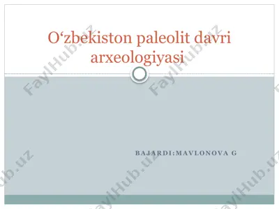 paleolit davrini oʻrganishda xalqaro hamkorlik — PPTX
