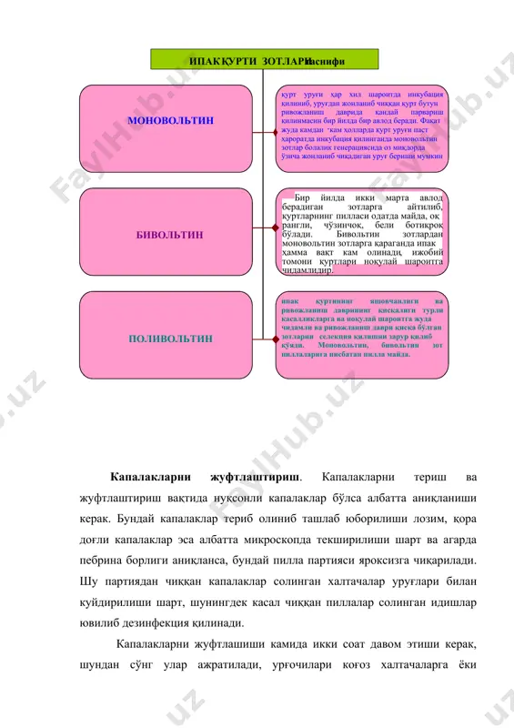 ингдек микротахлил вақтида мезҳнат сарфини тежашга йўналтирилган, аммо шу билан бирга бундай зичлаштириш касал капалакларни топишнинг имкониятини пасайтиради (айниқса, кам даражадаги касалланишда) ва қанчалик зичлаштириш даражаси юкори бўлса, касал уруғларни ўтказиб юбориш эхтимоли шунчалик юқори бўлади. бу ҳакда «микроскопда текшириш» бўлимида батафсил баён этилади. агарда урғочи капалаклар папильонаж халтачаларига солинган бўлса, бундай халтачалар капалаклари билан металл тўрдан қилинган ёки канопдан тўқилган тўрли цилиндрларга солинади. капалаклар билан ишлаш вақтида бу цилиндрлар халтачалари билан бирга папильонаж биноларини юқори зонасига осиб қўйилади, аммо папильонаж тугаши билан улар пастки зонага, папильопаж каравотларини ёки папильонаж катаклари ўрнига осиб қўйилиши керак. 36- расм. тухумларни микроскопик таҳлилдан ўтказиш. капалакларни пебринага қарши микроскопда текшириш усуллари бундай пастга осиб қўйиш албатта зарур, чунки бинонинг юқори зонасида ҳарорат пастки зонасига нисбатан ҳаммавақт юқори, у 30°с ҳатто ундан юқорига кўтарилади, бу айниқса кундузги ва тунги соатларда ҳароратнинг ўртасида фарқи кескин бўлганда уруғни физиологик ҳолатига салбий таъсир этади ва кўпинча уруғларни ўзидан …