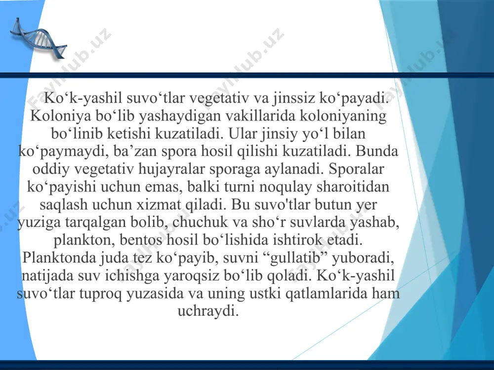 suv oʻtlari, ularni tabiatda va inson hayotidagi roʻli - Page 5