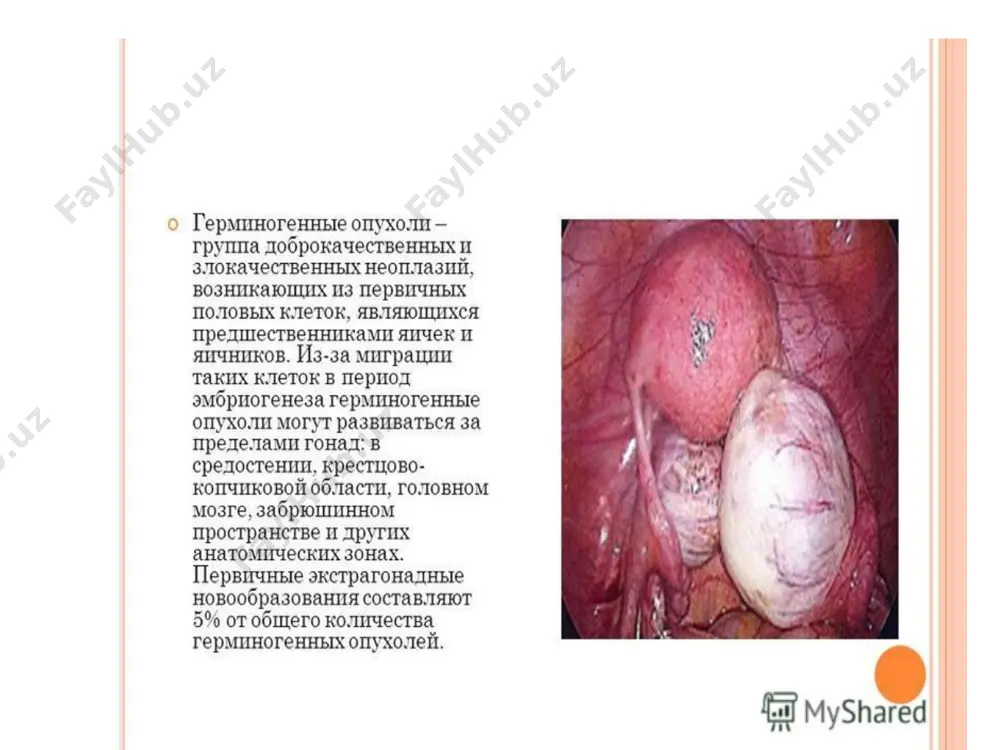 медицинский институт каракалпакстана - Page 2