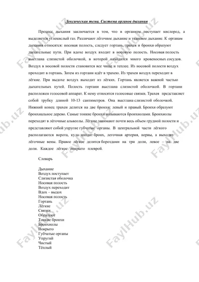 лексическая тема. система органов дыхания — DOCX
