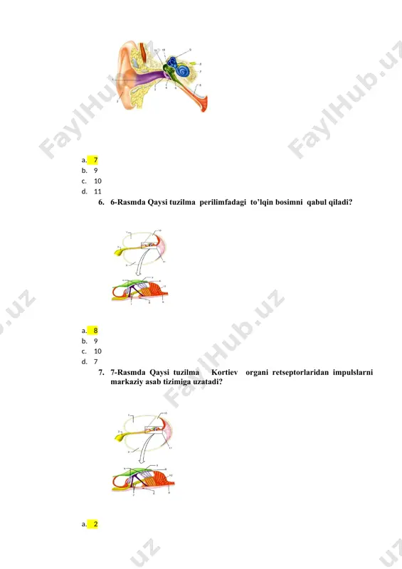 rasmdagi ganglioza bo‘lgan tuzilmalar - Page 3