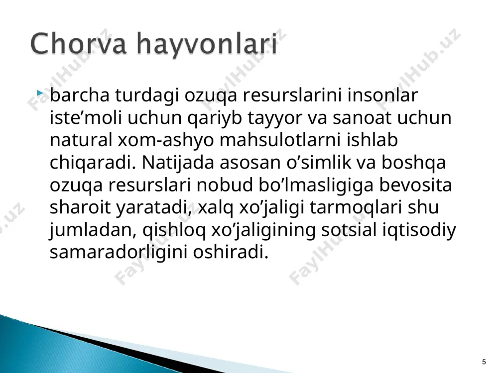 arayonlarni kompleks mexanizasiyalash va avtomatlashtirish usullaridan foydalanish; dastavval, ozuqalarni taqsimlash, sigirlarni sog’ish, qo’y va echkilar junini qirqish, sug’orish, binolarni chorva qoldiqlaridan tozalash, ulardan foydalanish bilan bog’liq va boshqa ishlarni progressiv vositalar yordamida bajarish; 5.hayvonlarni saqlashning progressiv usullaridan, shu jumladan, bog’lamasdan saqlash, mahsus qo’ralardan foydalanish; 6.asosiy vositalardan ayniqsa, chorva binolari va inshoatlari quvvatidan oqilona foydalanish; 7.progressiv zooveterinariya xizmatlaridan foydalanish va h.k. * 1.sigirlardan olinadigan sut va buzoq miqdorini ko’paytirish lozim. ko’p xo’jaliklarda mahsuldorlikning bu ko’rsatkichlari ularda rivojlanayotgan zotdor sigirlarning potensial imkoniyatiga nisbatan 2-3 marta past bo’lmoqda. natijada ularni oziqlantirish xarajatlari samaradorligi 3-4 marta pasaymoqda; 2.go’sht yo’nalishdagi qoramollarni so’qimga boqishga kunlik o’sishi, o’rtacha tirik va so’yilgan vazni va boshqa mahsuldorlik ko’rsatkichlari ham rivojlantirilayotgan zotlarning potensial imkoniyatidan 30-35% ga past tashkil topmoqda. natijada ularni oziqlantirish va saqlash muddatlari cho’zilib ketadi, barcha xarajatlar samaradorligi ham pasayadi; 3.rivojlanayotgan iqlim sharoitiga moslashgan qoramollarning zotdorlik belgilarini mustaxkamlash maqsadida seleksiya va naslchilik ishlari sifatini ko’tarish, shu jumladan, sun’iy …
