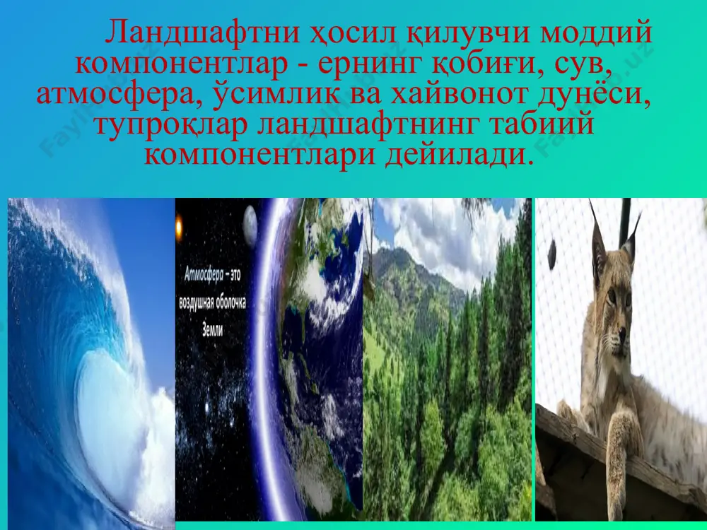 ни кўрсатиш мумкин. битта геоморфологик комплексда ҳамма вақт ҳам фақат битта ландшафт таркиби топавермайди. баъзан бир геоморфологик комплексда бир неча ландшафт вужудга келиши мумкин. буни фарғона водийси ўрта қисмидаги текислик мисолида кўриш мумкин. биргина тектоник ботиқликдан иборат бўлган ва бир хил табиий жараёнлар (аккумуляция, эол жараёнлар) рўй бериб турадиган бу текисликда иқлимий шароитнинг узоқлик бўйича марказий -ғарбий қумли чўл ўзгариши таъсирида шўрхоқ чўл ва шарқий гилли чўл ландшафтлари таркиб топган. ландшафтнинг таркибий қисми бўлган сув хар бир ландшафт учун хос ва шу ландшафт хусусиятлари билан жуда яқиндан боғланган бўлиб, бошқа ландшафтлардаги сув хавзалари, характери, химиявий таркиби, термик режими ва хоказоларига кўра фарқ қилади. ландшафтнинг иқлим компоненти зонал иқлим хусусиятлари ва хар бир жойнинг ўзига хос хусусиятлари таъсирида таркиб топади. шунинг учун хар бир табиий географик комплекснинг ўзига хос иқлими бўлади. ландшафт иқлими махаллий иқлимга мос келади. махаллий иқлим, хар бир ландшафтнинг типик урочишчеларида олиб борилган метеорологик кузатишлар асосида аниқланади. микроиқлим …