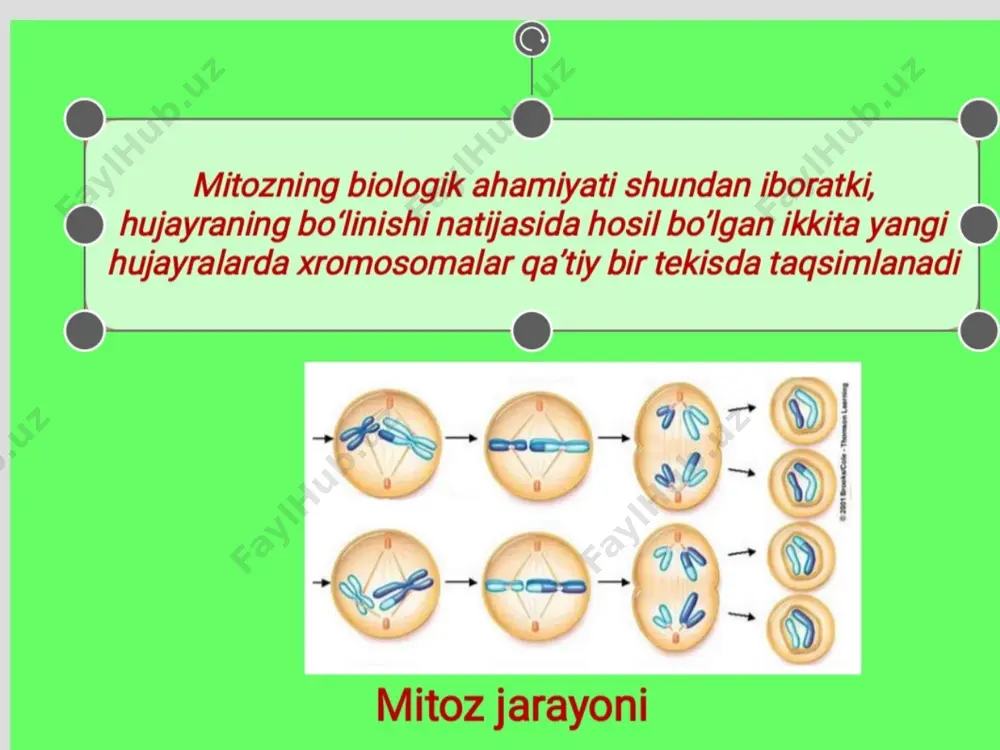 ynan bir xil irsiy axborotni saqlaydi. meyoz. meyoz eukariot hujayralarning o‘ziga xos bo‘linishi bo‘lib, bu bo‘linish natijasida hosil bo‘ladigan hujayralarda xromosomalar soni ikki hissa kamayadi. meyoz ham mitoz singari interfazadan boshlanadi. interfazada xromosomalar ikki hissa ortadi. metafaza i da xromosomalar o‘z sentromerlari bilan birgalikda ekvator tekisligi bo‘ylab joylashadi. anafaza i da gomologik xromosomalar xromatidalarga ajralmagan holda qarama-qarshi qutblarga tarqaladi. profaza ii mitoz profazasidan farq qilmaydi. metafaza ii da juft xromatidali xromo somalar o‘z sentromeralari bilan ekvator tekisligida joylashadi. anafa za ii da sentromerlar bo‘linib har bir xromatida mustaqil xromosomalarga aylanadi. meyozning biologik ahamiyati. meyoz jarayonida 1 ta diploid to‘plamli hujayradan 4 ta gaploid hujayralar ho sil bo‘ladi. meyoz jarayonida sodir bo‘ladigan konyugatsiya, krossingover, savol va topshiriqlar eukariot hujayralarga qaysi yo‘l bilan bo‘linib ko‘payish xos? prokariotlar uchun-chi? prokariotlarda oddiy binar ko‘payish qanday kechadi? mitoz nima? mitoz fazalarini tavsifl ang. qanday qilib mitoz bo‘linish natijasida qiz hujayralar aynan bir xil irsiy axborotga …