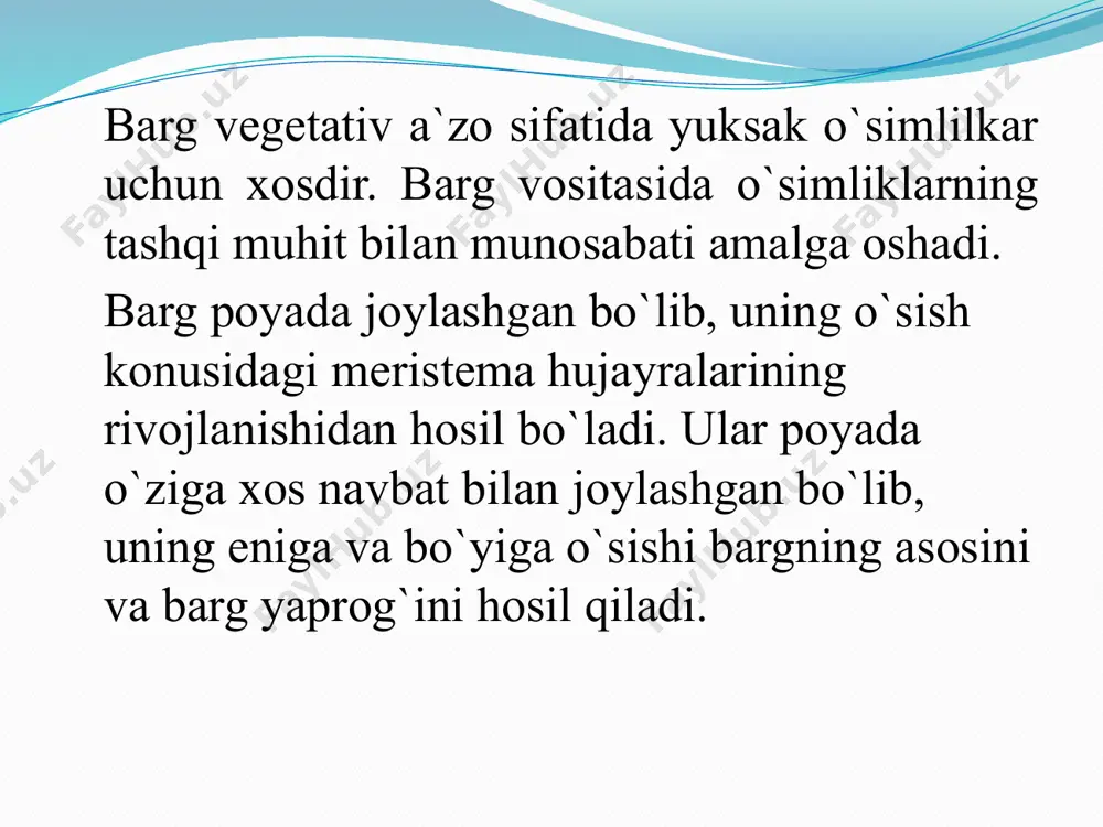 chali hujayralarda fotosintez boshlanadi. bu jarayonda kaliy ionlari (k⁺) qorinchali hujayralarga kiradi. 2.stomaning yopilishi; tunda yoki suv tanqisligida fotosintez sekinlashai. kaliy ionlari hujayradan chiqada. suv ham chiqadi, turgor bosim kamayadi. qorinchali hujayralar bo’shashadi va og’izcha yopiladi. natija: shunday mexanizm orqali o‘simlik suvni tejaydi, gaz almashinuvini tartibga soladi va tashqi muhitga moslashadi. . xulosa barg ogʻizchalari o‘simlik bargining asosiy mikroskopik tuzilmalaridan biri bo‘lib, ular o‘simlikning hayotiy faoliyatida muhim rol o‘ynaydi. ular asosan gaz almashinuvi va transpiratsiya (bug‘lanish) jarayonlarini boshqarib turadi. og‘izchalar ikki tomondan yopuvchi hujayralar bilan chegaralangan bo‘lib, bu hujayralar turgor holatiga qarab ochiladi yoki yopiladi. ana shu mexanizm orqali o‘simlik atrof-muhit sharoitlariga moslashadi va suvni tejaydi. ogʻizchalarning soni, joylashuvi va faoliyati o‘simlikning yashash muhiti, turi va fiziologik holatiga bog‘liq. masalan, quruq iqlimda yashovchi o‘simliklarda og‘izchalar kamroq bo‘lib, ular ko‘proq bargning pastki tomonida joylashgan bo‘ladi. bu esa transpiratsiyani cheklab, suv yo‘qotilishini kamaytiradi foydalanilgan adabiyotlar 1. xujaev j. x osimliklar fiziologiyasi toshkent …