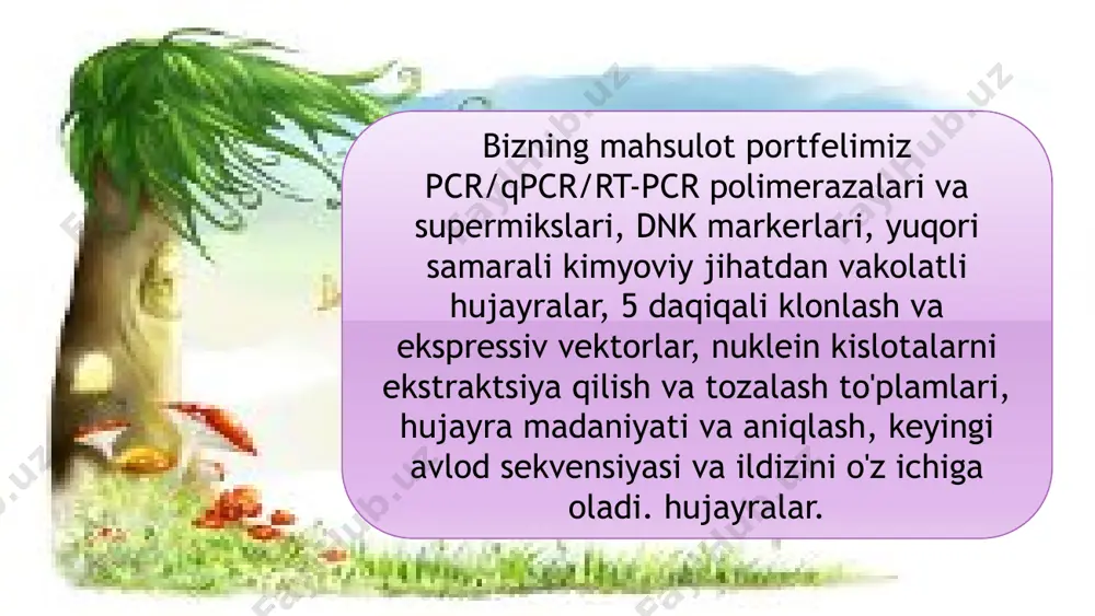 biosintezida foydalanadi va uni o’zining o’sish jarayoni uchun sarf qiladi. xona havosida ko’pincha havoda uchib yuruvchi formaldegid, benzol, xloroform kabi turli organik zaharli moddalar bo’ladi. ular havoga ovqat tayyorlash, dush qabul qilish, chekish kabi jarayonlar natijasida ajralib chiqadi. 16 odatda xona o’simliklari ham xona havosidagi zararli gazlarni yutadi, lekin ular kutilganidek samarali emas. odatdagi kattalikdagi xona havosida yig’ilib qolgan zaharli formaldegid gazini yutishi uchun o’sha xonada 20 dan ortiq o’simlik bo’lishi talab etiladi. “ko’pchilik kishilar xona havosidagi ushbu xavfli organik birikmalar haqida deyarli o’ylamaydi. shu bois biz bu borada nimadir qilishga qaror qildik. mana natijada bizni ushbu chiqindi moddalardan xalos etadigan transgen xona o’simligini yaratdik” – deydi vashington universiteti fuqaro va atrof-muhit muhandisligi kafedrasi professori stuart strand. 17 professor strand va uning hamkasblari birgalikda sutemizuvchilardagi cyp2e1 deb nomlangan genni tillarang epipremnum genomiga ko’chirib o’tkazish orqali o’simlikning detoksikatsiya (zaharni zararlantirish jarayoni) xususiyatini oshirish mumkinligi haqida o’ylashadi. ushbu gen sitoxrom p450 2e1 …