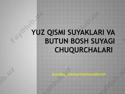 yuz qismi suyaklari va butun bosh suyagi chuqurchalari — PPTX