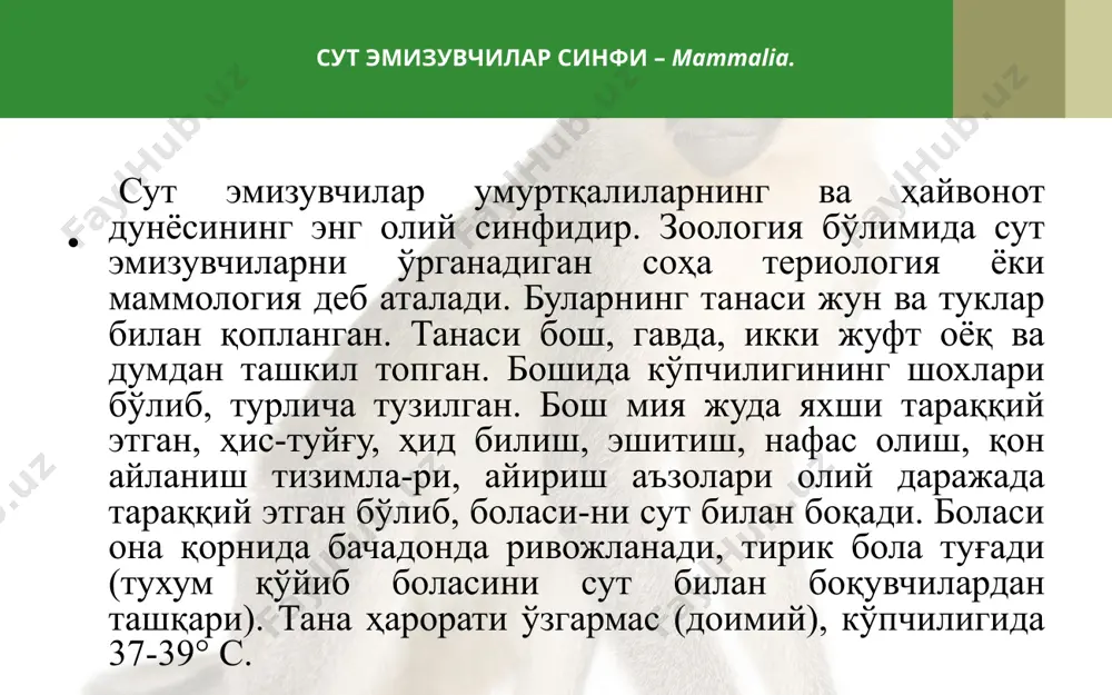 сут эмизувчилар синфининг тафсилоти - Page 5