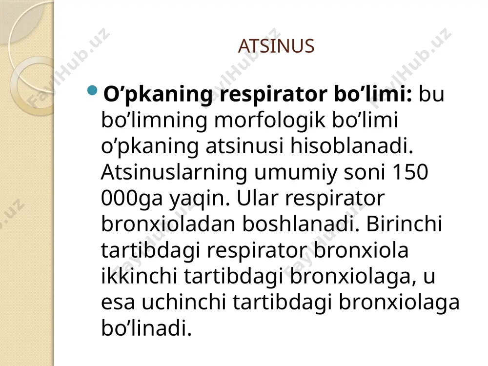 atsinus gistologiyasi - Page 3