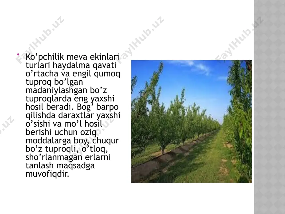 erilgan tanasini, ayrim qismlarining o’sish va meva berishini tartibga solish jarayonida ularning tarvaqaylab ketishini oldini olish va meva sifatini yaxshilash, daraxtning hosil berish davrini uzaytirish, meva berish uchun shox- shabbaga qulayrok sharoit yaratish (yorug’lik, havo va boshqalar), daraxtning tashqi muhitning noqulay sharoitlariga (sovuq, shamol va boshqalar) qarshi chidamligini oshirishdan iborat. daraxt o’sishidagi quyidagi qonuniyatlar kesishning biologik asosi hisoblanadi 1) ularda bitta yoki bir necha tana va asosiy (sklet) shoxlar bo’lishi va bu shoxlar o’simlikning boshqa er ustki qismlaridan ustunlik qilishi va to’g’ri o’sishini uzoq vaqt saqlashi; 2) shoxlarning joylashishidagi yaruslilik (qutblilik) va morfologik parallelizm; 3) ayrim asosiy va o’sib ketgan shoxlarning turli yoshidagi va kurtak hamda to’qimalarning turli sifatliligi; 4) daraxtning barcha hayoti davomida o’sishi va meva berishida yoshiga bog’liq o’zgarishlari; 5) shox-shabbadagi asosiy va o’sib ketgan shoxlarning siklik almashinuvi, ularning qurib qolishi va tiklanishi; 6) meva o’simliklari barcha qismlarining o’zaro bir-biriga bog’liq bo’lishi va bir-birini taqozo qilishi, ularning tashqi …