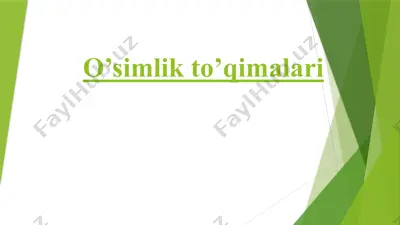 o’simlik to’qimalari — PPTX
