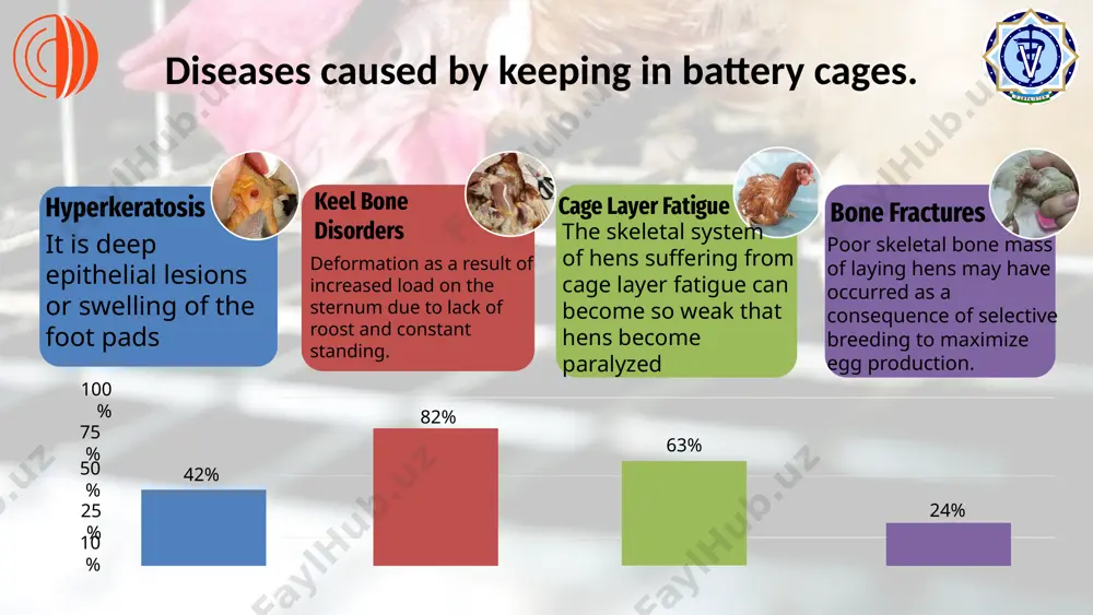 keeping poultry in battery cages - Page 5