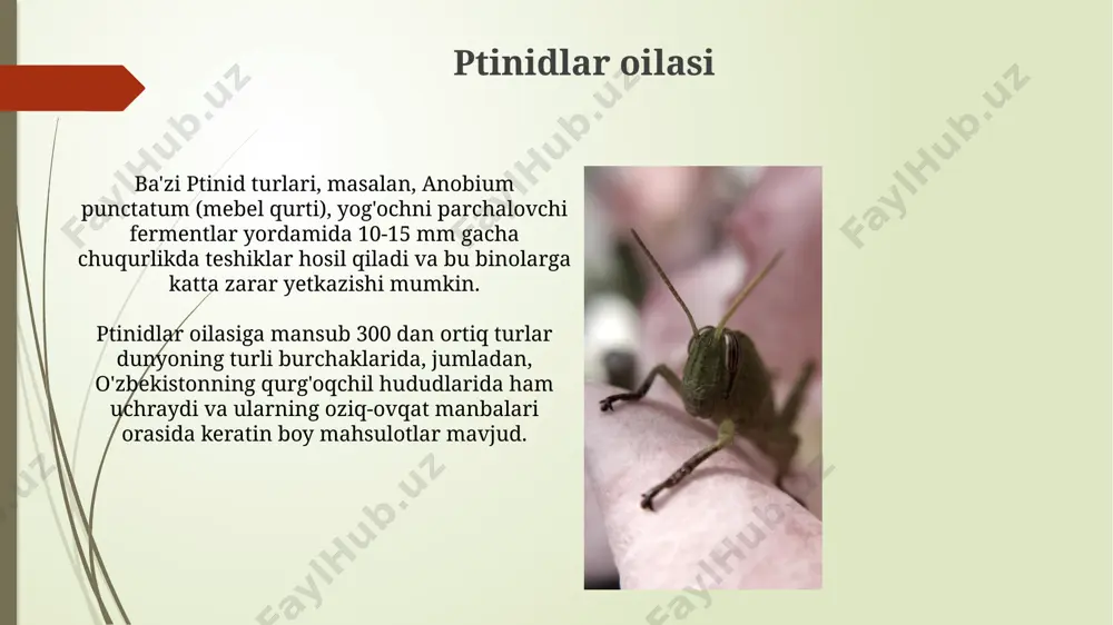 n jun mahsulotlarini ifloslantirishi, natijada iqtisodiy zararlarga (taxminan 10 million aqsh dollari) va sog'liqqa tahdid soladi. zararkunandalar sifatida zararkunandalar sifatida keratin iste’mol qiluvchi 100 dan ortiq hasharot turlari o‘zbekistonning turli hududlarida, jumladan, farg‘ona vodiysida va qoraqalpog‘iston respublikasida uchraydi, ularning 30 foizi qishloq xo‘jaligiga zarar yetkazadi. o‘zbekistonning janubiy hududlarida, ayniqsa, buxoro va samarqand viloyatlarida 5 dan ortiq keratinofaj turlari paxta va jun mahsulotlarini buzadi, yiliga 50-100 tonna mahsulotga zarar yetkazishi mumkin. keratofajlarning ta'rifi keratofaglar, asosan, hayvonlarning shox, tuyoq, jun va tirnoq kabi keratin boy materiallar bilan oziqlanuvchi 300 dan ortiq hasharot turini o'z ichiga olgan keng guruhlarni ifodalaydi, ularning ko'pchiligi tropik mintaqalarda, masalan, amazon o'rmonlarida uchraydi. qora qo'ng'izlar (tenebrionidae oilasi) kabi ba'zi keratofaglar, o'lik hayvonlarning qoldiqlarini iste'mol qilish orqali, 50 dan ortiq mamlakatlarda, shu jumladan, avstraliya va janubiy afrikada, tabiiy o'lik tana moddalarini qayta ishlash jarayonida muhim rol o'ynaydi. oldini olish choralari olish choralari, asosan, o‘zbekistonning janubiy hududlarida, 3000 metr balandlikdan …