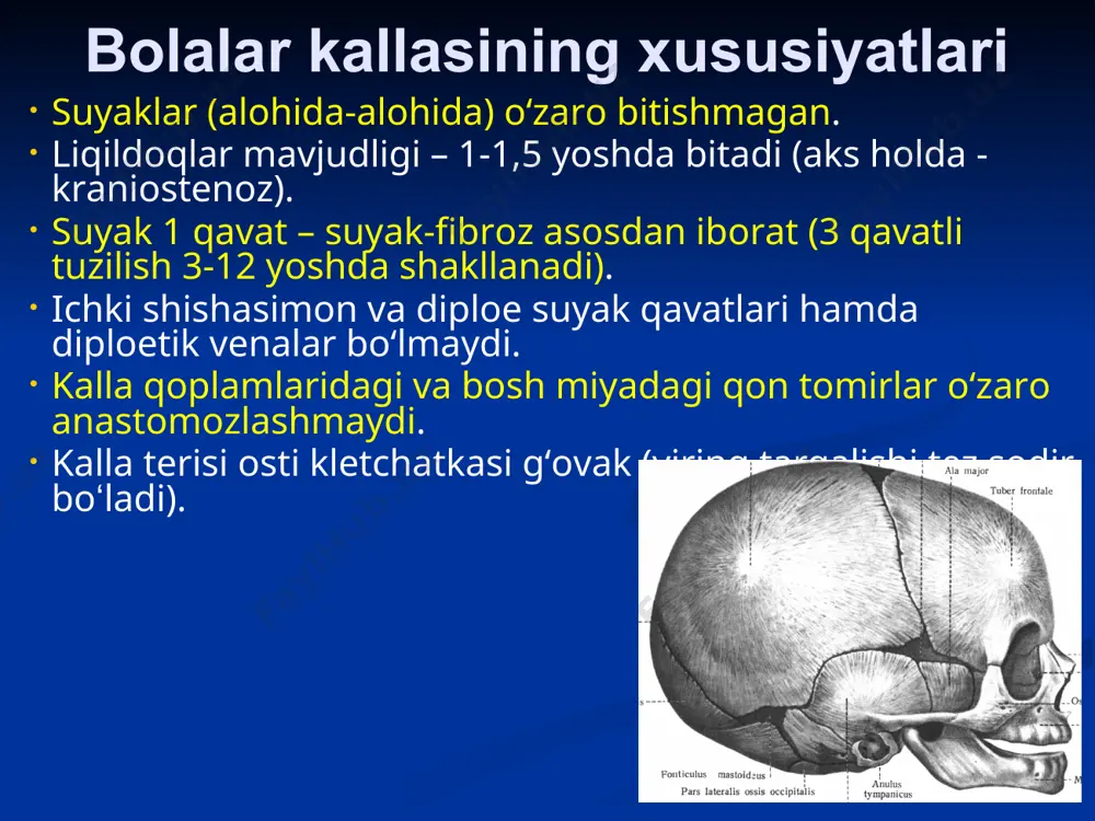 ri miya v а yuz boʻliml а ri miya s о h а si : gumb а z : p е sh о n а- t е p а- ens а , ch а kk а , soʻrgʻichsim о n oʻsiq sohalari. as о s : ichki а s о s : old, oʻrt а , orq а chuqurch а lar та shqi а s о s. kalla qutisi yuz s о h а si : yon : yonoq sohasi. lunj sohasi. quloq-chaynov sohasi. yuzning chuqur sohasi oldingi : koʻz sohasi. burun sohasi. ogʻiz sohasi. engak sohasi. kalla suyagining taraqqiyoti kalla suyaklarining taraqqiyotida uch bos q ich tafovut etiladi : parda , togay va suyak xolatlari . parda xolidagi kalla - embrionning 2 xaftaligidan boshlansa , togay xolatiga 2-oydan boshlab utadi . uchinchi bos q ich bulgan suya k xolatiga utish xar bir suyak uchun aloxida muddatga tugri keladi . …