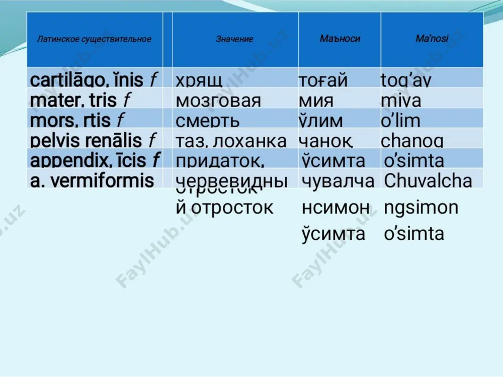 il|-turlanishdagi jenskiy roddagi otlar - Page 3