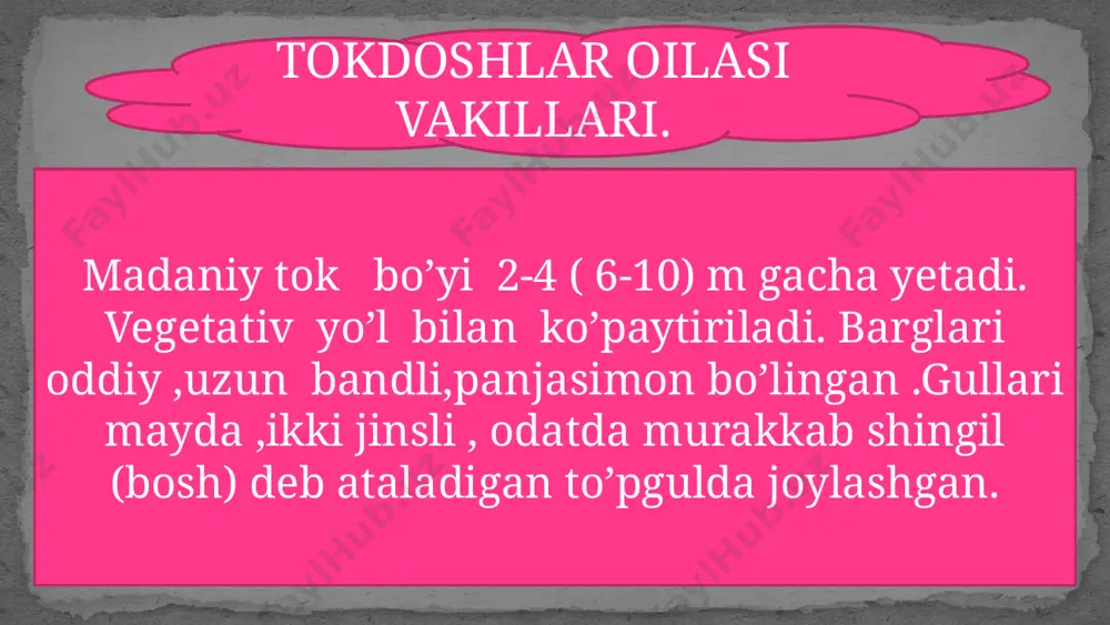 tokdoshlar oilasi mavzusida - Page 3