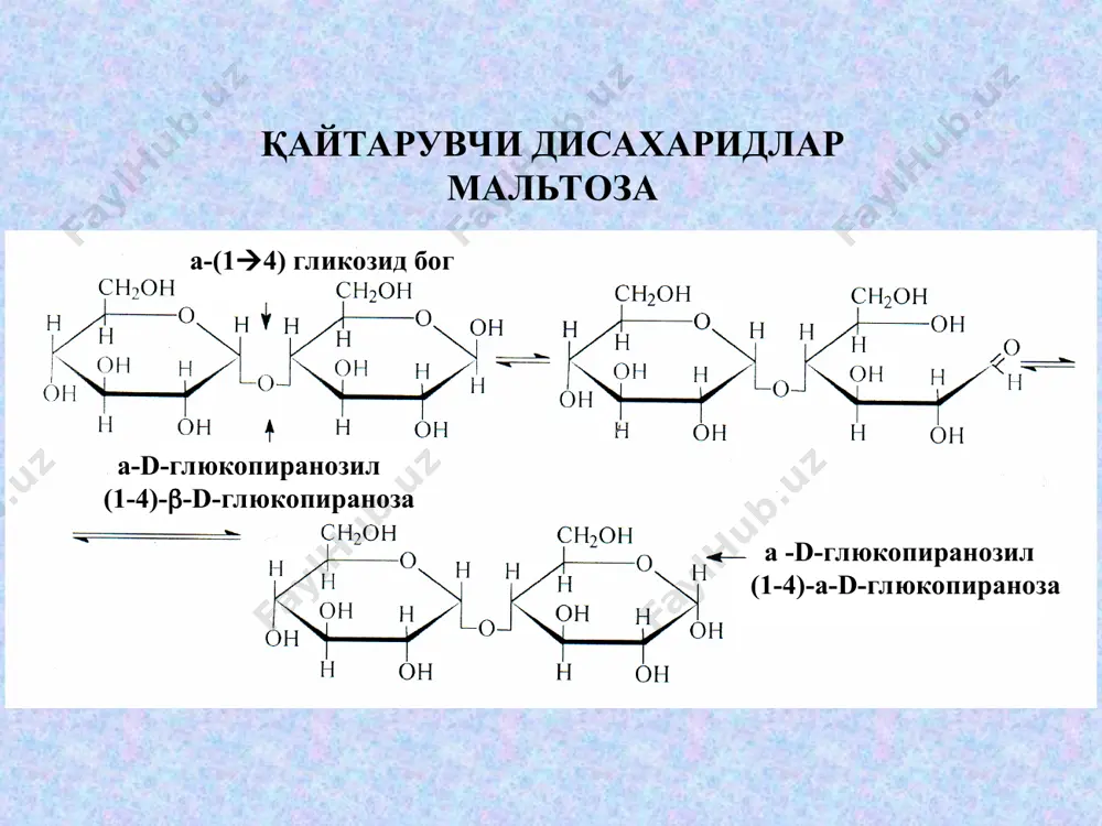 karbonsuvlar: di- va gomopolisaxaridlar - Page 5