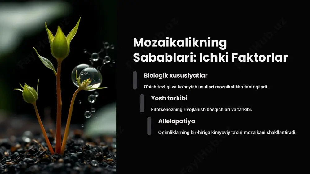 fitotsenoz mozaikaligi: kirish - Page 5