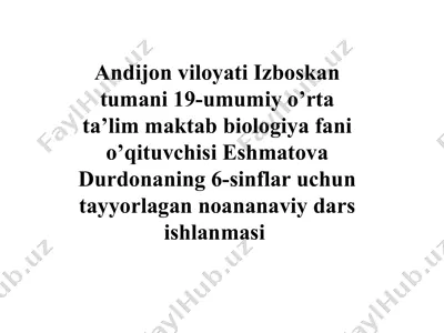 noananaviy dars ishlanmasi — PPT