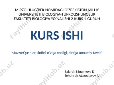 qushlarni finiolizatsiya haqida — PPTX