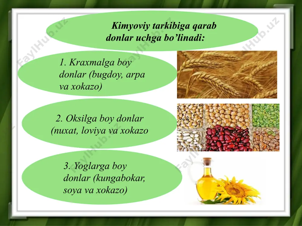 o‘simlik tuzilishining asosi uglevodlar - Page 4