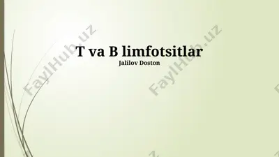 t va b limfotsitlar — PPTX