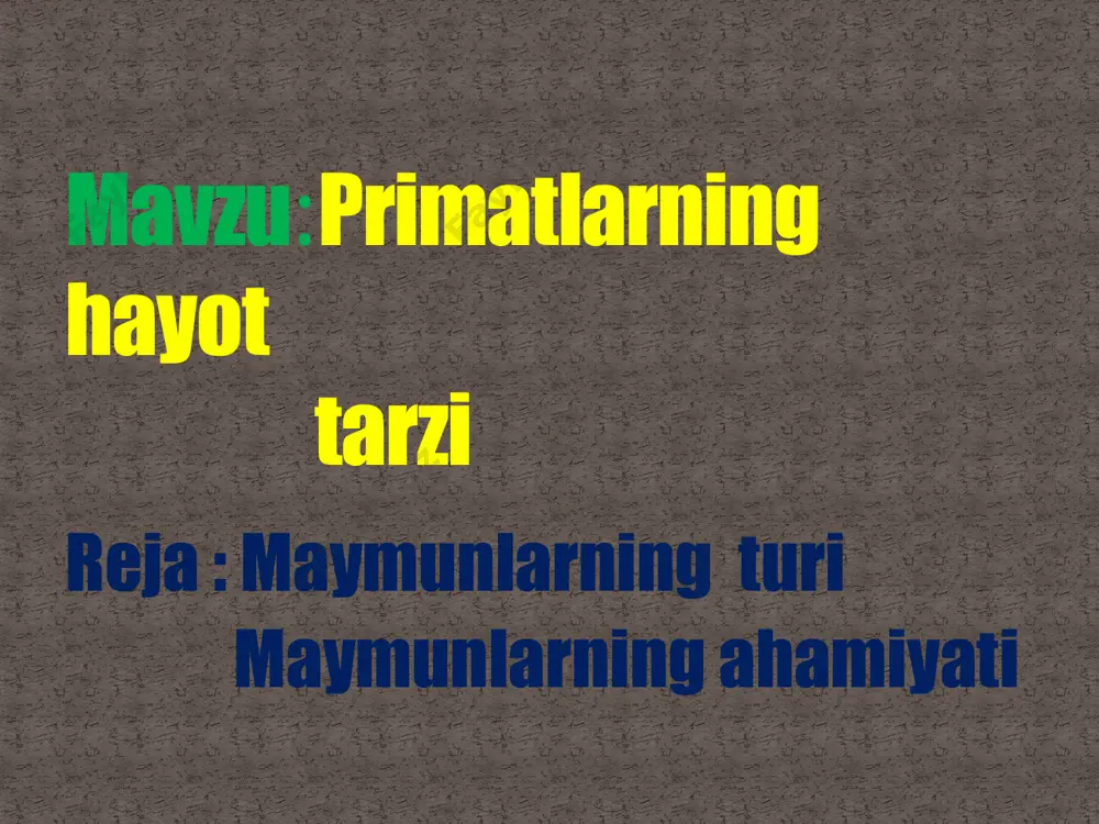 lib kelinadi. ibtidoiy nomidan u qora ekanligi ravshan. uzunligi bo'yicha maymun 23 santimetrdan oshmaydi va og'irligi 400 grammni tashkil qiladi. ba'zi maymunlarningjuda uzun dumi bor, ularning uzunligi tananing o'lchamidan ham oshib ketishi mumkin, maymunning dumi daraxtlar o'rtasida harakatlanayotganda muvozanat vazifasini bajaradi. ammo erda yashaydigan maymunlarning dumi juda qisqa. quyruqsiz maymunlarga kelsak, unda barcha "insonoid" maymunlar yo'q (chu% odamlar bunga ega emas). boshqa kapuchinlar uchun palto uzunligi butun tanada bir xil bo'ladi. saki rohibiarining elkalari va boshlarida uzunroq sochlari bor. primatiarning o'ziga va ularga qarash fotosurat, maymun uriarifarany boshlaysiz. shunday qilib, saki qopqog‘i uning peshonasiga osilgan, quloqlarini yopib qo'ygan. kapuchinning yuzidagi sochlar bosh kiyimlar bilan deyarli farq qilmavdi. saki rohibi sumatran orangutan qizil maymunlarga tegishlidir, junning olov rangi bor. turlarnlng vakillarl sumatra va kalimantan orollarida uchraydi. sumatran kiritilgan antropoid maymun turlari. sumatra oroli aholisining tilida ibtidoiy ism "o'rmon odami" degan ma'noni anglatadi. shuning uchun orangutaeng” yozish noto'g'ri. oxirida "b" harfl so'zning …