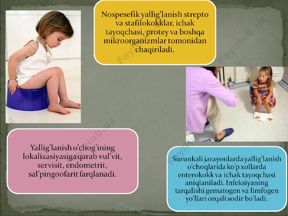 ayollar jinsiy azolari anatomiyasi - Page 4
