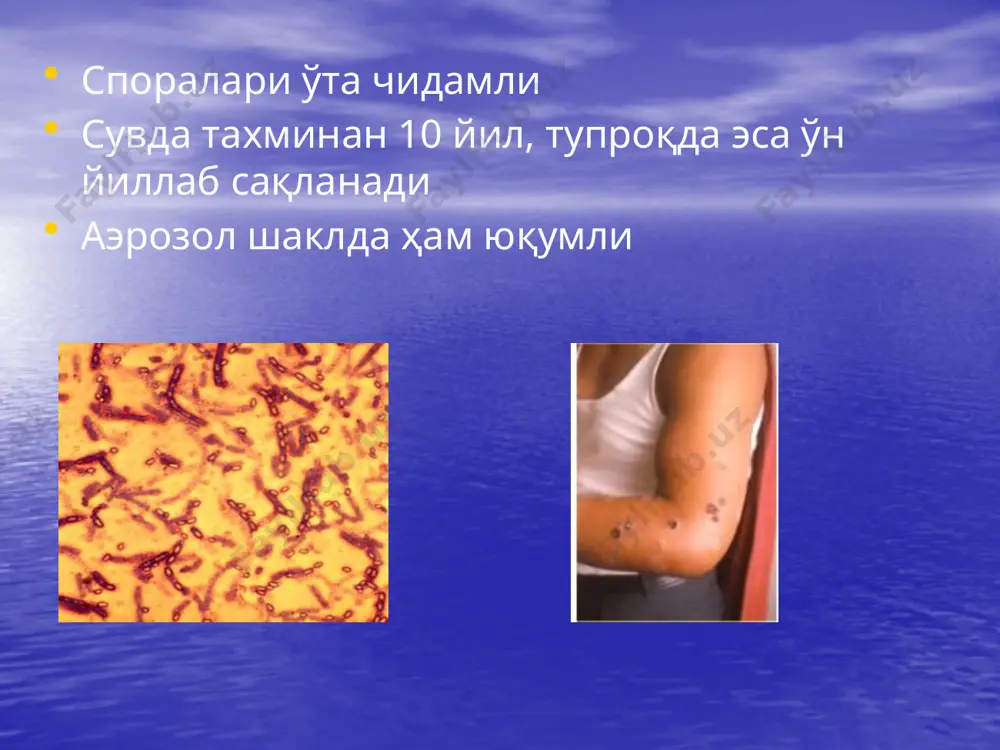 e30.png image31.png image1.jpeg