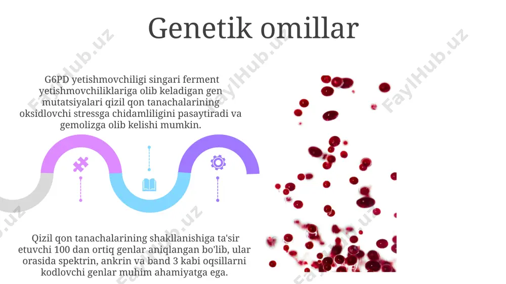 eritrotsitlarga taʼsir etuvchi omillar - Page 5