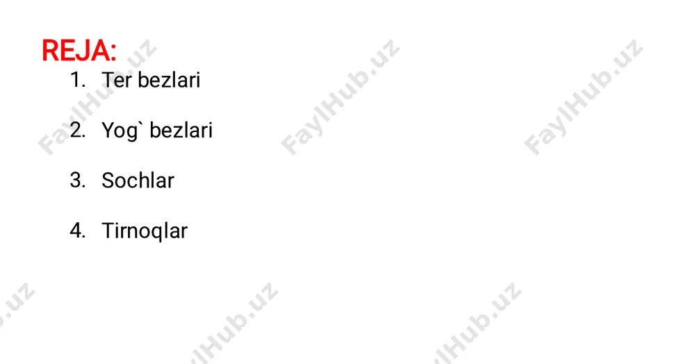 ch ildiziga ochiladi 1sm2 50-800 ta bo`ladi bir sutkada 20gr shakllanadi sekret tarkibi 60%-neytral yog`lar 40%_xolesterin,skvalen, mumsimon efirlar fuksiyasi ter va soch yuzasida gidrofob plyonka hosil qilish antimikrob ta`siri       marfologiyasiga ko`ra oddiy alveolar tarmoqlanmagan bezlar sekretor bo`limi bo`limi bir qancha qopchalar yoki alveolalardan iborat shingil hosil qilgan to`kuv nayi : soch varonkasiga ochiladi tarmoqlanmagan bez yo`llari ko`p qavatli yassi epiteliy bilan qoplangan          sekretsiya tipiga ko`ra galokrin bezlar sekretor hujaralar-sebotsitlar sekret bilan birga to`liq parchalanib ketadi sebotsitlar turlari: 1.yetiluvchi sebotsit: alveolaning o`rta qismida joylashgan, bo`lib miqdori ko`p bazal mebranaga yetmaydi sitoplazmasi yanada yorqin va katakchali(lipidlar to`plami tufayli) 2.parchalanuvchi sebotsitlar: to`kuv nayi yaqinida to`plangan hujayra chegarasini aniqlab bo`lmaydi yadrosi giperxrom   1. 2. regulyatsiyasi: innervatsiya olmaydi regulyatsiyasi ikki yo`l bilan amalga oshadi: testosteron va progesteron orqali- terminal differensirovka amalga oshiriladi shakllangan moyni teri yuzasiga chiqishi esa …