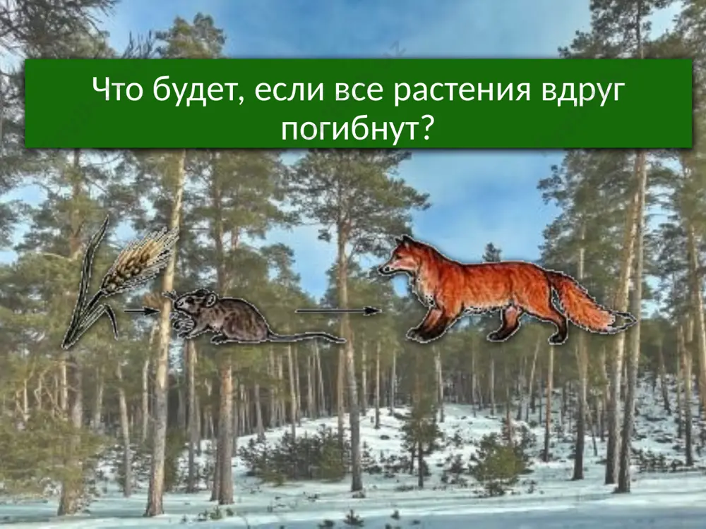 d0%b3%d0%b0 олень http://disk.shgs.ru/forum/viewtopic.php?p=817311 карта тайги image2.jpeg image3.jpeg image4.jpeg image5.png image6.jpeg image7.jpeg image8.jpeg image9.png image10.jpeg image11.jpeg image12.jpeg image13.jpeg image14.jpeg image15.jpeg image16.jpeg image17.jpeg image18.jpeg image19.jpeg image20.jpeg image21.jpeg image22.jpeg image23.gif image24.jpeg image25.jpeg image26.jpeg image27.jpeg image28.jpeg image29.jpeg image30.jpeg image31.jpeg image32.png image33.jpeg image34.jpeg image35.jpeg image36.jpeg image37.jpeg image38.jpeg image39.jpeg image40.jpeg image41.jpeg image1.jpeg /docprops/thumbnail.jpeg