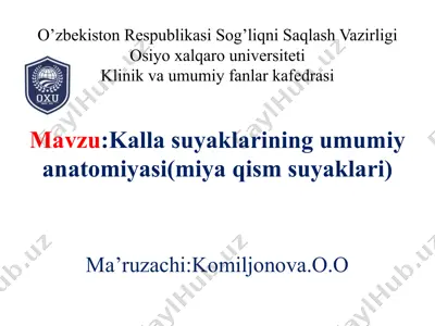 kallasuyaklarining umumiy anatomiyasi — PPTX