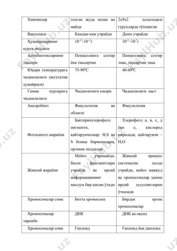 шар шаклига ўтиши мумкин. 4 - расм. прокариотларнинг турли шаклли вакиллари: 1 - кокк; 2 - диплококк; 3 - сарцина; 4 - стрептококк; 5 - сферасимон бактерияларнинг колонияси; 6 – таёқчасимон бактериялар (якка ҳужайра, ҳужайралар занжири); 7 - спириллалар; 8 - вибрион; 9 - ёпиқ ва очиқ халқа шаклидаги бактериялар; 10 - ўсимта ҳосил қилувчи бактериялар (простекалар); 11-чувалчангсимон бактериялар; 12 - олтибурчакли юлдуз кўринишидаги бактериялар; 13 - актиномицетлар вакиллари; 14-миксобактерияларнинг мева таналари; 15 - латерал жойлашган хивчинлиcaryophanon авлодининг ипсимон шаклли бактерияси; 16 - спора (акинетлар) гетероцисталар ҳосил килувчи ипсимон цианобактериялар; 8, 15, 17, 18 - ҳар хил типда ҳивчин ҳосил қилувчи бактериялар; 19 - капсула ҳосил қилувчи темир гидрат оксидидан тузилган қобиққа ўралган ипсимон sphaerotilus гурухи; 21 - тиканлар ҳосил қилувчи бактерия; 22 - gallionella sp. 5 – расм. спирохета ҳужайрасининг узунасига (а) ва кўндаланг кесмасининг (б) чизмаси: а - расмда ҳужайранинг учларида жойлашган аксиал фибрилла. б – аксиал фибриллардан …