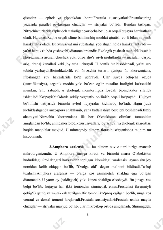 :nitzschia turlari, ayniqsa n. khorezmiana, ifloslangan suv havzalarida ko‘p uchraydi. ular suvda ortiqcha ozuqa (eutrofikatsiya), organik modda yoki ba’zan og‘ir metallar borligini ko‘rsatishi mumkin. shu sababli, u ekologik monitoringda foydali bioindikator sifatida ishlatiladi.ko‘payishi:odatda oddiy vegetativ bo‘linish orqali ko‘payadi. hujayra bo‘linishi natijasida birinchi avlod hujayralar kichikroq bo‘ladi. hajm juda kichiklashganda auxospora shakllanib, yana kattalashish bosqichi boshlanadi.ilmiy ahamiyati:nitzschia khorezmiana ilk bor o‘zbekiston olimlari tomonidan aniqlangan bo‘lib, uning morfologik xususiyatlari, joylashuvi va ekologik sharoitlari haqida maqolalar mavjud. u mintaqaviy diatom florasini o‘rganishda muhim tur hisoblanadi. 3.amphora aralensis — bu diatom suv o‘tlari turiga mansub mikroorganizmdir. u amphora jinsiga kiradi va birinchi marta o‘zbekiston hududidagi orol dengizi havzasidan topilgan. nomidagi “aralensis” aynan shu joy nomidan kelib chiqqan bo‘lib, "orolga oid" degan ma’noni bildiradi.tashqi tuzilishi:amphora aralensis — o‘ziga xos asimmetrik shaklga ega bo‘lgan diatomadir. u yarm oy (saldirgich) yoki kanca shakliga o‘xshaydi. bu jinsga xos belgi bo‘lib, hujayra har ikki tomondan simmetrik emas.frustulasi (kremniyli qobig‘i) …