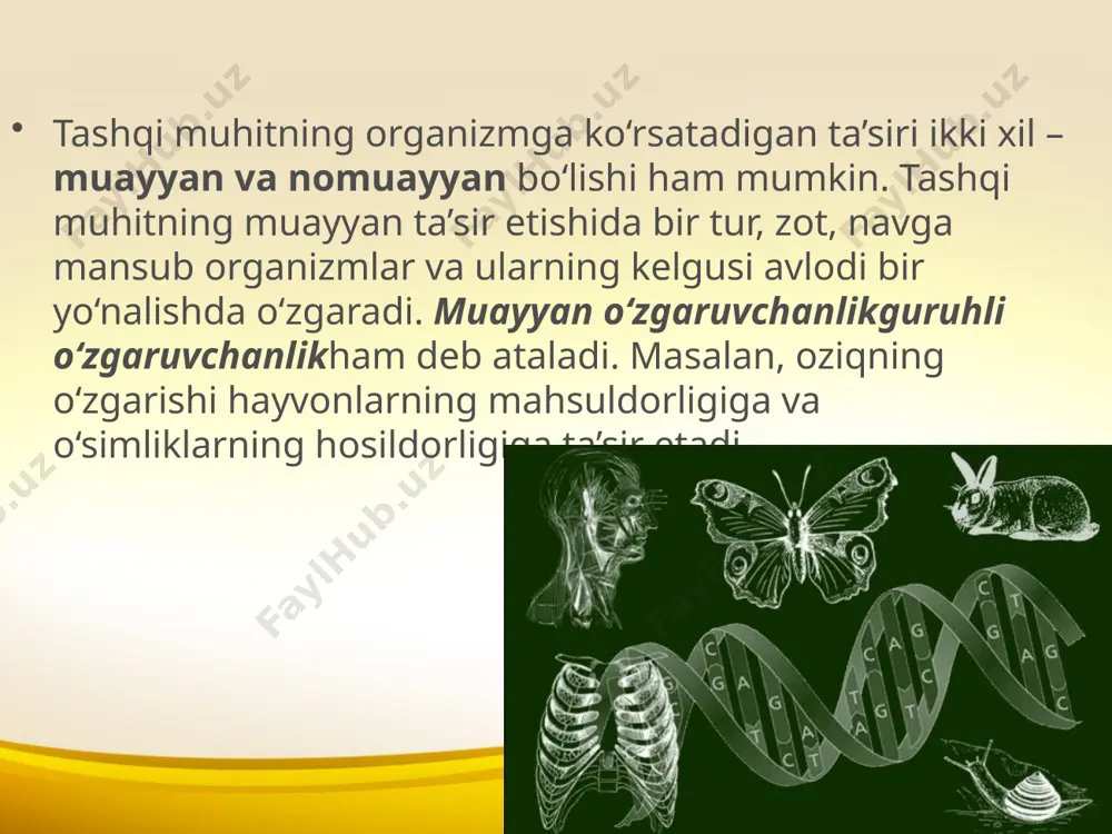 gi ahamiyatini tushun tiring. irsiy o‘zgaruvchanlikning qanday turlari farq qilinadi? image2.jpeg image3.jpeg image4.jpeg image5.jpeg image6.jpeg image7.jpeg image8.jpeg image9.jpeg image10.jpeg image11.jpeg image12.jpeg image1.jpeg