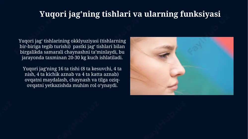yuqori jag’ fiziologiyasi (maxilla) - Page 4