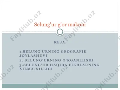 selung'ur g'or makoni — PPTX