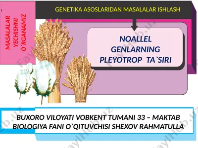 genlarning pleyotrop ta'siri — PPTX