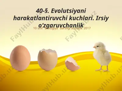 evolutsiyani harakatlantiruvchi kuchlari. irsiy o‘zgaruvchanlik. 10 - sinf — PPTX