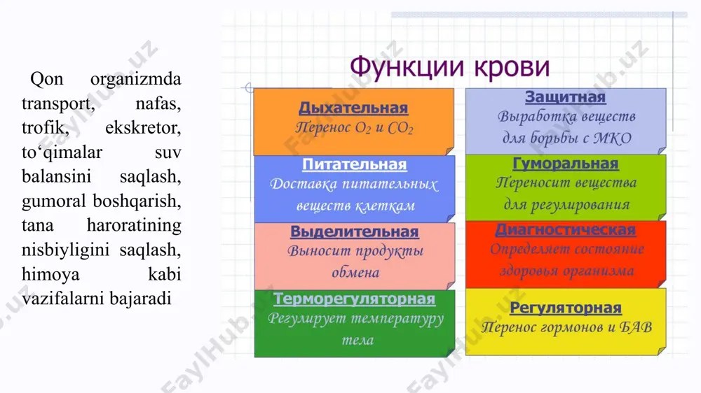 shi disproteinemiya deb ataladi. gemoglobinning a va b peptid zanjirlari, uning prostetik gruppasi – gem ham retikulotsitlarda o‘zaro mutanosib ravishda sintezlanadi gemoglobin sintezi gemoglobin biosintezi boshqarilishi gem biosintezi temir almashinuvi odam organizmida hammasi bo‘lib 5-6 g temir bo‘lib, shulardan 65-70% gemoglobin tarkibida, 20 % yaqini mioglobinni tarkibida, 10- 15 % jigar, taloq, ko‘mikda zaxira holatda bo‘ladi. uning faqat 1% ga yaqin qismi gem tutuvchi fermentlar (katalaza, peroksidaza, sitoxromlar) va gemga aloqasiz ayrim oqsillar tarkibida bo‘ladi. organizmda temir almashinuvida muhim ahamiyatga ega bo‘lgan transferrin va ferritin oqsillari mavjud. transferrin – glikoproteid. uning vazifasi temir to‘planib boradigan va sarflanadigan to‘qimalarga qon orqali temir tashib berishdir. transferrinning qondagi konsentratsiyasi 0,4 g/dl ga teng. ichakda temir transferringa o‘xshash oqsil ishtirokida so‘riladi. keyin temir qondagi transferringa o‘tadi. ferritin 24 ta protomerdan tarkib topgan oligomer oqsil hisoblanadi. ichakdan temir, maxsus transferringa o‘xshab ketadigan oqsil ishtirokida qonga so‘riladi. transferrin oqsilining tarkibida temir fe+3 holatda bo‘ladi. uning vazifasi …