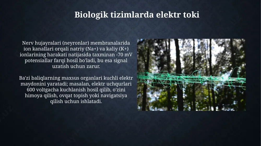 turli muhitlarda elektr toki - Page 3