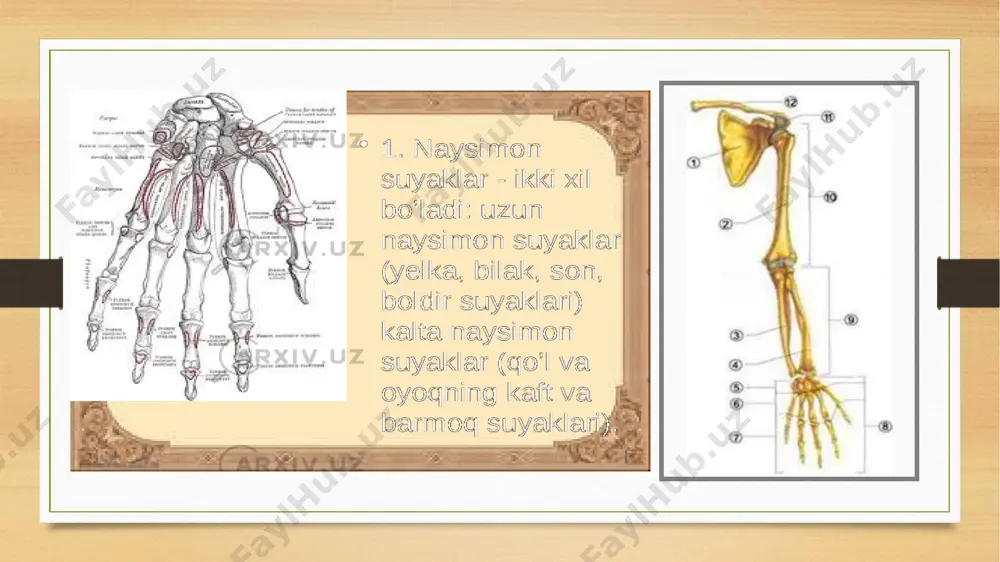zarmed universiteti - Page 3