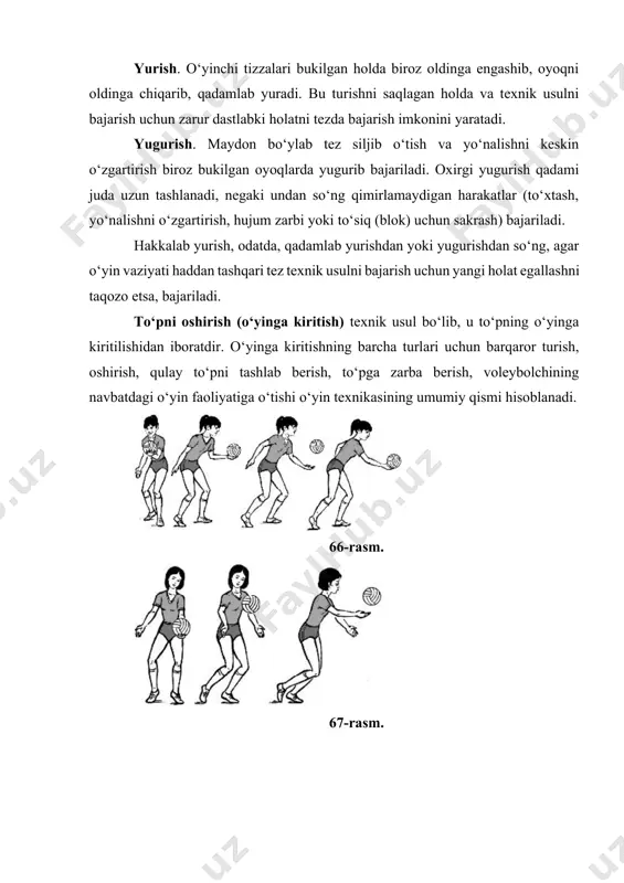sofa bo‘yicha esa yaqin (0,5 m dan kam bo‘lmagan) va uzoq (0,5 m dan ortiq) uzatiladi. yuqoridan ikki qo‘llab uzatish eng ko‘p tarqalgan usul bo‘lib, bu quyidagicha bajariladi: dastlabki holatda o‘yinchining oyoqlari tizzadan bukiladi, qo‘llar yuz oldiga qo‘yiladi, katta barmoqlar esa ko‘zga yaqin turadi. qo‘l barmoqlari biroz kaft ichiga buriladi, barmoqlar oxiri cho‘mich shaklidagi cho‘ziq paydo qiladi (72-rasm). to‘p bilan uchrashuv paytida oyoqlar tizzadan to‘g‘rilanib, o‘yinchining tanasi oldinga ko‘tariladi. bu harakatlarga qo‘llar qo‘shiladi — ular to‘pni qarshi olish uchun ko‘tarilib 72-rasm. 7 — jismoniy tarbiya 73-rasm. 74-rasm. to‘g‘rilanadi. asosiy amortizatsiya yuklamasini panja barmoqlari o‘ziga oladi. oyoq, gavda va qo‘lning bu harakatlari birga uyg‘un bajariladi, bu esa barmoqlarning to‘pga qisqa-yumshoq tegishini ta’minlaydi va uni belgilangan tomon, kerakli nuqtaga yo‘naltirish imkonini beradi. voleybolchining to‘pni ikki qo‘llab yuqoridan uzatish paytidagi turishi harakatlari hamda asosiy turishdagi oyoq, gavda va qo‘l holatiga, qo‘l barmoqlarining to‘pga joylashishiga e’tibor bering. shundan so‘ng to‘pni oldinga, o‘z ustida va …