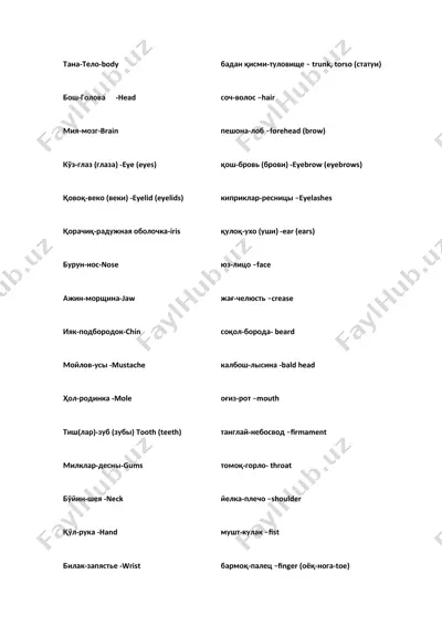anatomiya modeli — DOCX