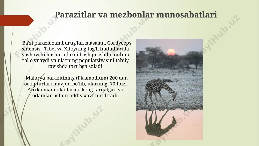 s orollaridagi turli finch turlarining evolyutsiyasi singari, muayyan ekotizim sharoitlariga moslashuvni ta'minlasa-da, global iqlim o'zgarishi kabi kutilmagan hodisalarga moslashish imkoniyatini cheklaydi. tabiiy tanlanish, masalan, antibiotiklarga chidamli bakteriyalarning 20% ga yaqin tez ko'payishi kabi, tezkor evolyutsion jarayonlarni ham boshqara olmaydi, chunki bakteriyalar reproduktiv sikli juda qisqa. irsiy oʻzgaruvchanlik irsiy oʻzgaruvchanlik, genetik rekombinatsiya orqali, ota-onalardan avlodlarga xromosomalar toʻplamining qayta taqsimlanishi bilan, masalan, meyoz jarayonida, yangi gen birikmalari hosil qilish orqali yuzaga keladi. odamlarda irsiy oʻzgaruvchanlikning miqdori taxminan 0.1% ni tashkil etadi, bu esa genetik xilma-xillikni taʼminlaydi va turli xil xususiyatlarga ega boʻlgan shaxslarning paydo boʻlishiga olib keladi. masalan, qon guruhlari. resurslar uchun raqobat avstraliyaning katta to'siq rifida yashovchi 500 dan ortiq turdagi marjonlar, yorug'lik, ozuqa moddalari va joylashish uchun joylar uchun doimiy raqobatda bo'lib, suvning ifloslanishi yoki iqlim o'zgarishi kabi tashqi omillar bu raqobatni yanada kuchaytiradi, zaif turlarining yo'q bo'lib ketish xavfini oshiradi. amazon o'rmonlarida yashovchi 300 dan ortiq maymun turlarining oziq-ovqat …