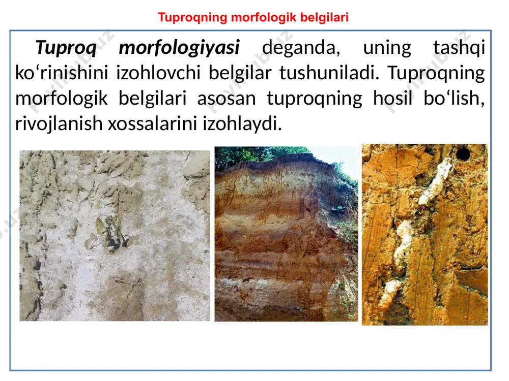 rinishini izohlovchi belgilar hisoblanib o’simliklar hayotida muhim rol o’ynaydi. tuproqda morfologik belgilarning to’gri shakllanishi agrotexnik tadbirlarni o‘z vaqtida va sifatli o‘tkazish, dehqonchilik madaniyatining holati bilan chambarchas bog‘liq bo‘ladi. e'tiboringiz uchun rahmat! image1.jpeg image2.jpeg image3.jpeg image4.jpeg image5.jpeg image6.jpeg image7.jpeg image8.png image9.jpeg image10.jpeg image11.png audio1.wav image12.png image13.jpeg image14.jpeg image15.jpeg image16.png image17.jpeg image18.gif image19.jpeg image20.jpeg image21.jpeg